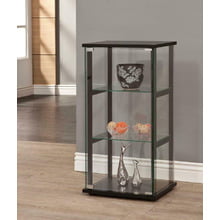 Contemporary Black and Glass Curio Cabinet